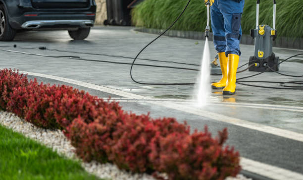 Best Sidewalk Pressure Washing  in Dulce, NM