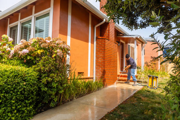 Best Power Washing Near Me  in Dulce, NM