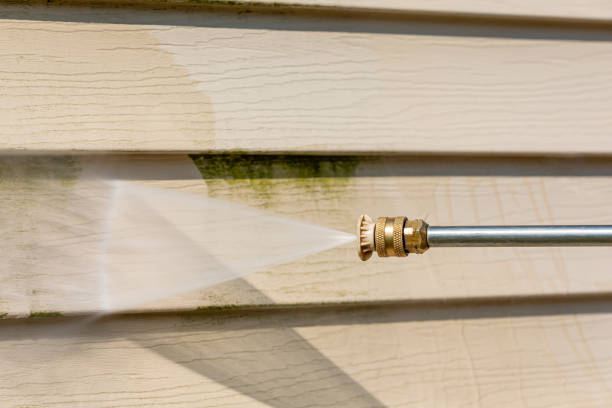Best Local Pressure Washing Services  in Dulce, NM
