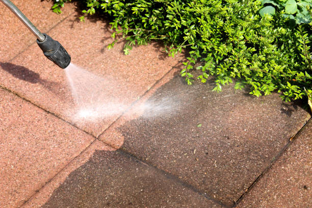 Best Deck Cleaning Services  in Dulce, NM